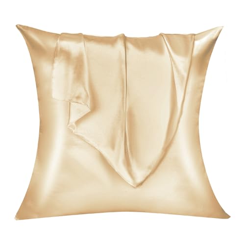 Lirex 2er Set Satin Kissenbezug 60x60cm, kissenbezüge, Weich wie Seiden Kissenbezug, Satin Kopfkissenbezug Kissenhülle für Haar und Haut kommt，Oeko-TEX Zertifiziert, Champagne von Lirex