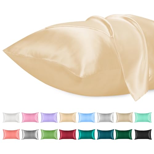 Lirex Satin Kissenbezug, 2er Pack Weiche Volltonfarbe Mikrofaser Satin Kissenbezug, Umschlag Verschluss Knitterfrei Verblassen Beständig Atmungsaktiv (Champagne, 40 x 60 cm) von Lirex