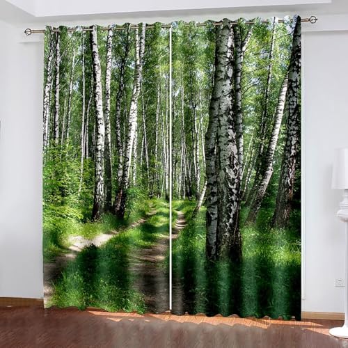 Lirzxin Vorhänge Lichtdicht 214 cm Lang, Verdunkelungsvorhänge mit Ösen 2er Set Grün Grau Braun Wald und Pfad Landschaft Gardinen für Kinderzimmer Wohnzimmer Schlafzimmer, 132x214 cm(BxH) von Lirzxin