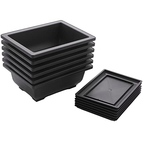 Liseng 6 Packungen Bonsai Trainingstöpfe mit Tablett Kunststoff Bonsai Pflanzen Topf für Garten Wohnen Balkon 16,5X12 cm von Liseng