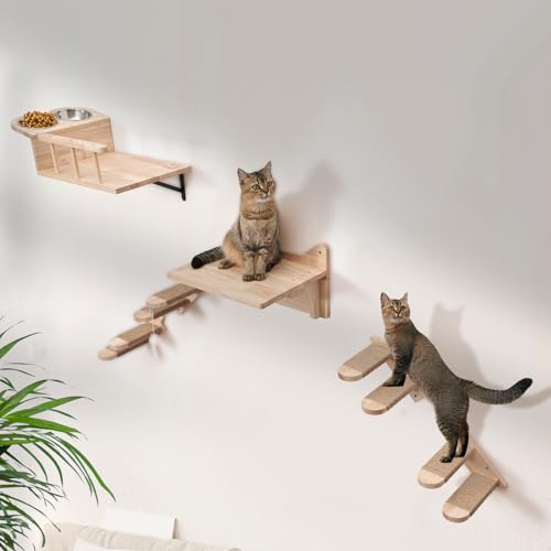 LitaiL Katzen Kletterwand Set aus Massivholz, Extra Stabile Katzenkletterwand mit Katzennapf Wand,Katzenliege und Katzenstufen für Wand, 6-teilig, Bis 25KG von LitaiL