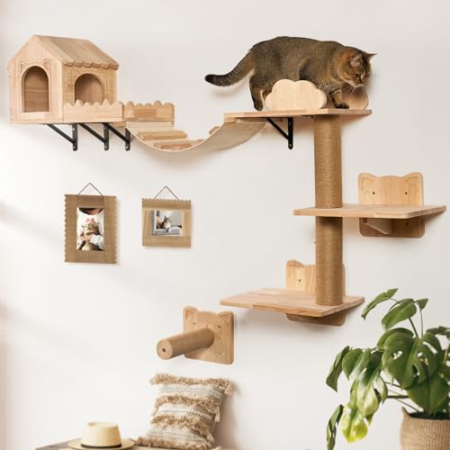 LitaiL Kletterwand Katzen von LitaiL