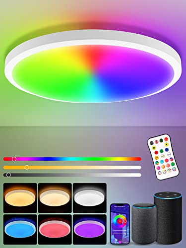 LED Deckenleuchte Dimmbar mit Fernbedienung,24W RGB Farbwechsel Deckenlampe mit APP Steuerung,3000K-6500K Alexa Deckenlampe mit Memory-Funktion,Smart Lampe für Wohnzimmer Schlafzimmer,Ø28CM von Litglobe