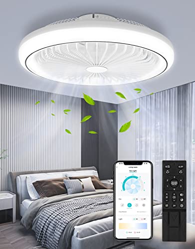 LED Deckenleuchte mit Ventilator,65W Deckenventilator mit Beleuchtung und Fernbedienung Leise & APP,3000-6500K 6 Geschwindigkeiten Speicherfunktion Lampe mit Leise Ventilator für Wohnzimmer Esszimmer von Litglobe