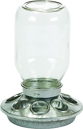 Miller Manufacturing Mason Jar Baby Chick Feeder Heavy-Duty Galvanized Steel von Little Giant