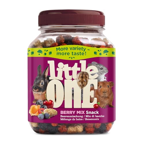 Little One Berry Mix | 180 g | Ergänzungsfutter für Nagetiere und Zwergkaninchen | Mit getrockneten Vogelbeeren, Preiselbeeren, Rosinen, Kirschen, Wacholder, Aronia und Goldbeeren von Little One