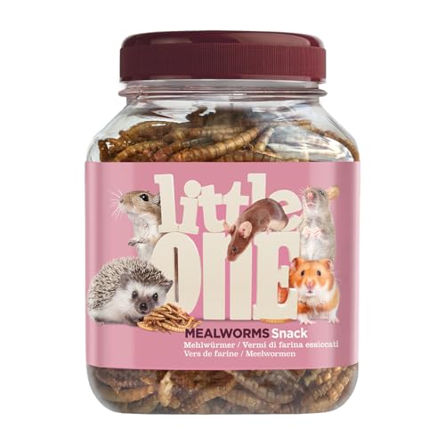 Little One Mehlwürmer | 70 g | Ergänzungsfuttermittel für Hamster, Ratten, Mäuse und Igel | Zur Unterstützung des Wohlbefindens | Hoher Proteingehalt für natürliche Instinkte von Little One