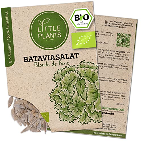 Litte Plants BIO Bataviasalat Samen, 180 Salatsamen, hohe Keimrate, 100% Natürlich, BIO Samen Bataviasalat Blonde de Paris für Gemüsegarten, Gemüsebeet, Hochbeet – BIO Gemüsesamen Saatgut Nachhaltig von Little Plants