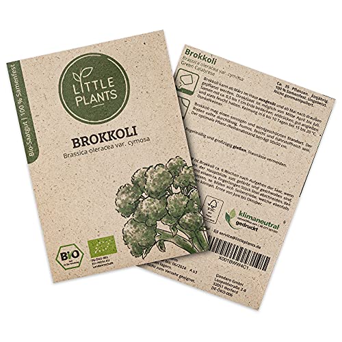 Little Plants BIO Brokkoli Samen, 25 Brokkolisamen, hohe Keimrate, 100% Natürlich, BIO Samen Brokkoli Green Calabrese für Gemüsegarten, Gemüsebeet, Hochbeet – BIO Gemüsesamen Saatgut Nachhaltig von Little Plants