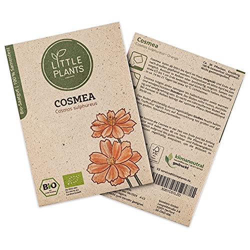 Little Plants BIO Cosmea Samen Orange, 30 Cosmeasamen, hohe Keimrate, 100% Natürlich, BIO Samen Cosmea Orange für Blumengarten Blumenbeet Hochbeet – BIO Blumensamen Blumenwiese Nachhaltig von Little Plants