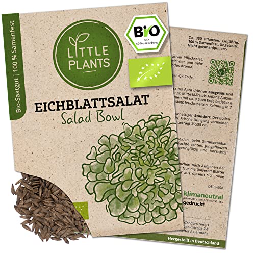 Litte Plants BIO Eichblattsalat Samen, 120 Salatsamen, hohe Keimrate, 100% Natürlich, BIO Samen Eichblattsalat Salad Bowl für Gemüsegarten, Gemüsebeet, Hochbeet – BIO Gemüsesamen Saatgut Nachhaltig von Little Plants