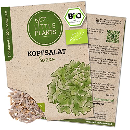 Litte Plants BIO Kopfsalat Samen, 180 Salatsamen, hohe Keimrate, 100% Natürlich, BIO Samen Kopfsalat Suzan für Gemüsegarten, Gemüsebeet, Hochbeet – BIO Gemüsesamen Saatgut Nachhaltig von Little Plants