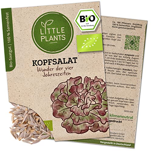 Litte Plants BIO Kopfsalat Samen, 180 Salatsamen, hohe Keimrate, 100% Natürlich, BIO Samen Salat Wunder der 4 Jahreszeiten für Gemüsegarten, Gemüsebeet, Hochbeet – BIO Gemüsesamen Saatgut Nachhaltig von Little Plants
