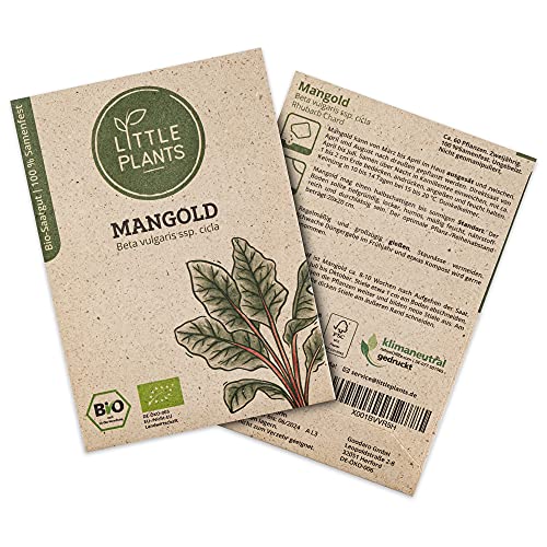 Little Plants BIO Mangold Samen, 60 Mangoldsamen, hohe Keimrate, 100% Natürlich, BIO Samen Mangold Rhubarb Chard für Gemüsegarten, Gemüsebeet, Hochbeet – BIO Gemüsesamen Saatgut Nachhaltig von Little Plants