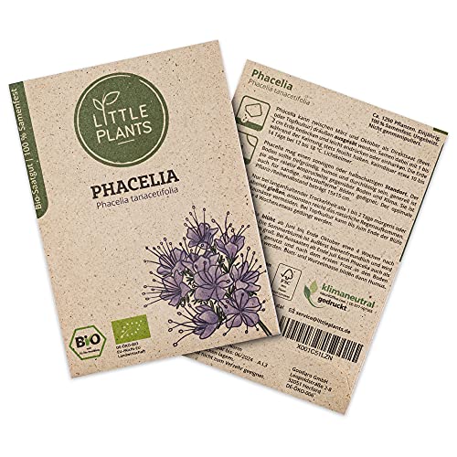 Little Plants BIO Phacelia Samen, 1250 Phaceliasamen, hohe Keimrate, 100% Natürlich, BIO Samen Bienenfreund für Blumengarten Blumenbeet Hochbeet – BIO Blumensamen Blumenwiese Nachhaltig von Little Plants