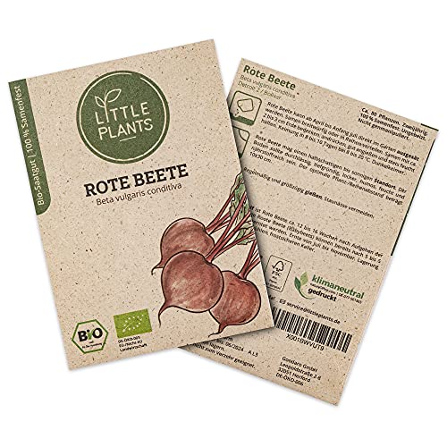 Little Plants BIO Rote Beete Samen, 80 Rote Beete Samen, hohe Keimrate, 100% Natürlich, BIO Samen Rote Bete Bolivar für Gemüsegarten, Gemüsebeet, Hochbeet – BIO Gemüsesamen Saatgut Nachhaltig Little Plants BIO Rote Beete Samen, 80 Rote Beete Samen, hohe Keimrate, 100% Natürlich, BIO Samen Rote Bete Bolivar für Gemüsegarten, Gemüsebeet, Hochbeet – BIO Gemüsesamen Saatgut Nachhaltig von Little Plants