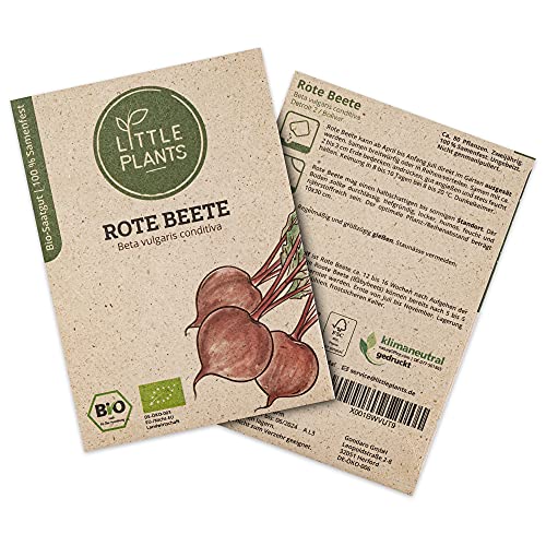 Little Plants BIO Rote Beete Samen, 80 Rote Beete Samen, hohe Keimrate, 100% Natürlich, BIO Samen Rote Bete Bolivar für Gemüsegarten, Gemüsebeet, Hochbeet – BIO Gemüsesamen Saatgut Nachhaltig von Little Plants