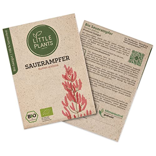 Little Plants BIO Sauerampfer Samen, 100 Sauerampfersamen, hohe Keimrate, 100% Natürlich, BIO Samen Sauerampfer Saatgut für Kräutergarten Heilkräuter Hochbeet – BIO Heilkräutersamen Nachhaltig von Little Plants