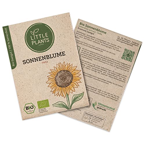 BIO Sonnenblumen Samen Hella, 20 Sonnenblumensamen, hohe Keimrate von Little Plants, Wunderschöne Blume für deinen Balkon und Garten, BIO Blumensamen Nachhaltig Verpackt von Little Plants