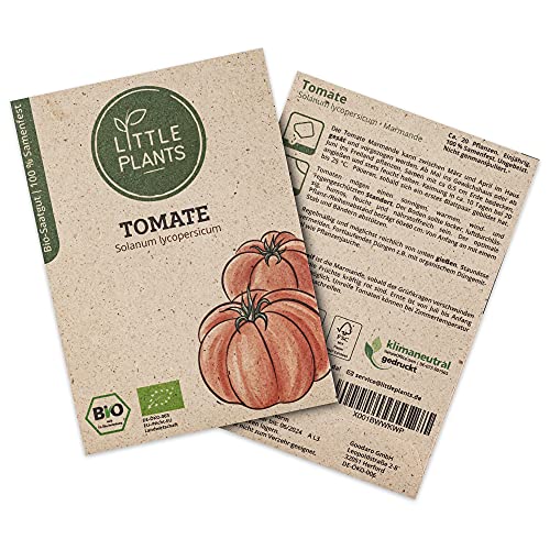 Little Plants BIO Tomatensamen, 20 Tomaten Samen, hohe Keimrate, 100% Natürlich, BIO Samen Tomate Marmande für deinen Gemüsegarten, Gemüsebeet, Hochbeet – BIO Gemüsesamen Saatgut Nachhaltig von Little Plants