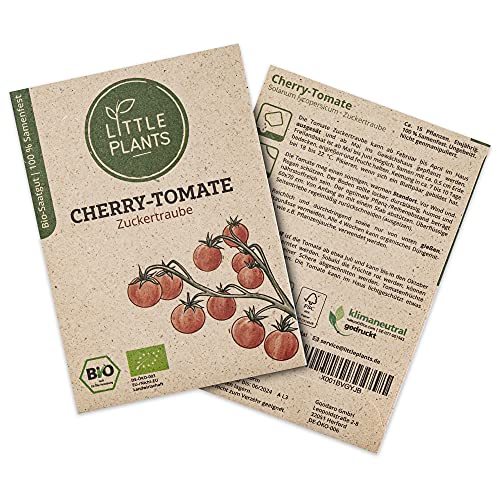 Little Plants BIO Tomatensamen Zuckertraube, 15 Tomaten Samen, hohe Keimrate, 100% Natürlich, BIO Samen Cherrytomate Zuckertraube für Gemüsegarten Tomaten Hochbeet – BIO Tomaten Samen Nachhaltig von Little Plants