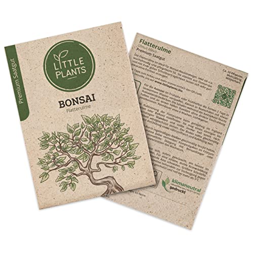Bonsai Samen Flatterulme, 10 Bonsaisamen, hohe Keimrate von Little Plants, Wunderschöner Bonsai zur eigenen Anzucht, Nachhaltig Verpackt von Little Plants