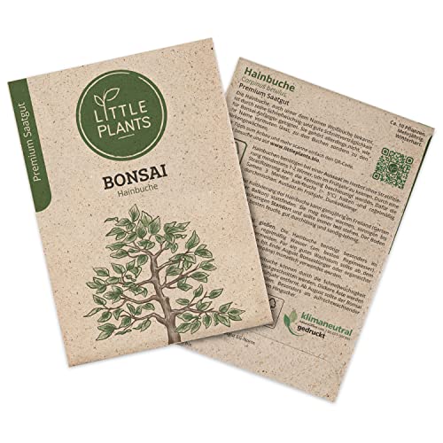 Bonsai Samen Hainbuche, 10 Bonsaisamen, hohe Keimrate von Little Plants, Wunderschöner Bonsai zur eigenen Anzucht, Nachhaltig Verpackt von Little Plants