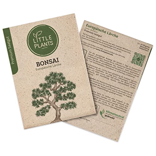 Bonsai Samen Lärche, 10 Bonsaisamen, hohe Keimrate von Little Plants, Wunderschöner Bonsai zur eigenen Anzucht, Nachhaltig Verpackt von Little Plants