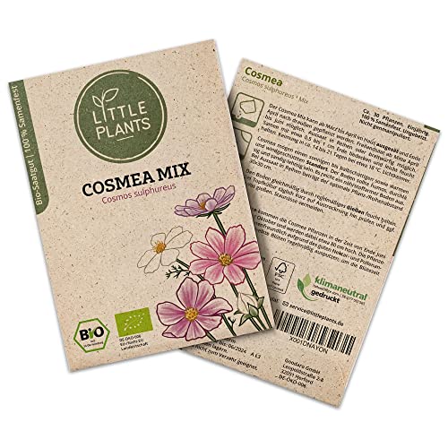 Little Plants BIO Cosmea Samen Mischung, 30 Cosmeasamen, hohe Keimrate, 100% Natürlich, BIO Samen Cosmea Mischung Schmuckkörbchen für Blumengarten, Blumenbeet, Hochbeet – BIO Blumensamen Little Plants BIO Cosmea Samen Mischung, 30 Cosmeasamen, hohe Keimrate, 100% Natürlich, BIO Samen Cosmea Mischung Schmuckkörbchen für Blumengarten, Blumenbeet, Hochbeet – BIO Blumensamen von Little Plants