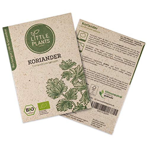 Little Plants BIO-Koriandersamen (Coriandrum sativum) | BIO-Kräutersamen | Nachhaltige Verpackung aus Graspapier | Kräuter-Samen | BIO-Saatgut für ca. 130 Koriander-Pflanzen von Little Plants