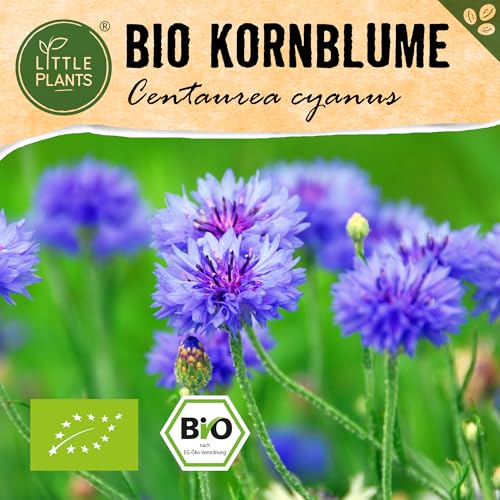 Little Plants BIO Kornblumen Samen, 145 Kornblumensamen, hohe Keimrate, 100% Natürlich, BIO Samen Kornblume für Blumengarten Blumenbeet Hochbeet – BIO Blumensamen Blumenwiese Nachhaltig von Little Plants