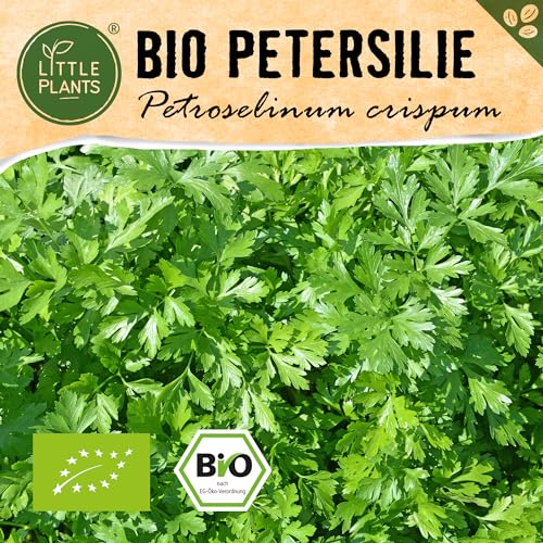 Little Plants BIO Petersilie Samen, 800 Petersiliesamen, hohe Keimrate, 100% Natürlich, BIO Samen Petersilie für Kräutergarten Küchenkräuter Hochbeet – BIO Kräutersamen Nachhaltig von Little Plants