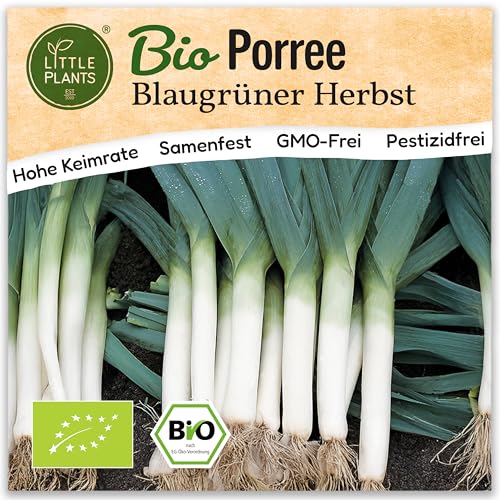 Little Plants BIO Porree Samen 200 Blaugrün Porreesamen Gemüsesamen Samenfest für Gemüsegarten Gemüse Samen für Küche, Balkon, Hochbeet und Garten Little Plants BIO Porree Samen 200 Blaugrün Porreesamen Gemüsesamen Samenfest für Gemüsegarten Gemüse Samen für Küche, Balkon, Hochbeet und Garten von Little Plants
