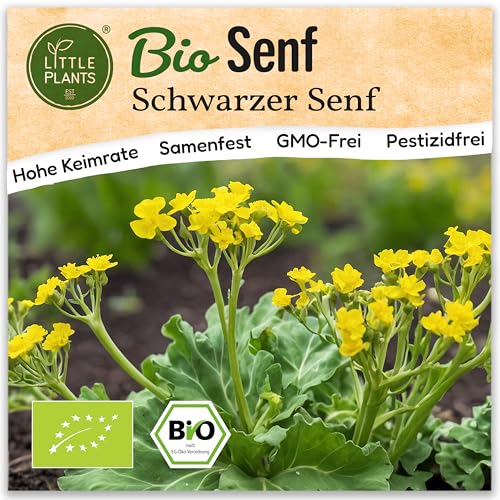 Little Plants BIO Senf Samen 200 Senfsamen Schwarz Kräutersamen Samenfest für Kräutergarten Kräuter Samen für Balkon, Hochbeet und Garten Little Plants BIO Senf Samen 200 Senfsamen Schwarz Kräutersamen Samenfest für Kräutergarten Kräuter Samen für Balkon, Hochbeet und Garten von Little Plants