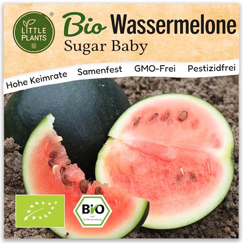 Little Plants BIO Wassermelone Samen Sugar Baby 10 Wassermelonesamen Obstsamen Samenfest für Obstgarten Obst Samen für Balkon, Hochbeet und Garten von Little Plants