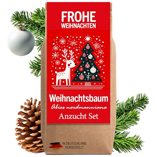 Little Plants Weihnachtsbaum Anzuchtset - Weihnachtsbaum, Adventskalender Füllung, Wichtelgeschenk, Weihnachtsbaum in der Dose, Adventskalender befüllen Inhalt, Tannenbaum Geschenk Set (Variante 3) von Little Plants