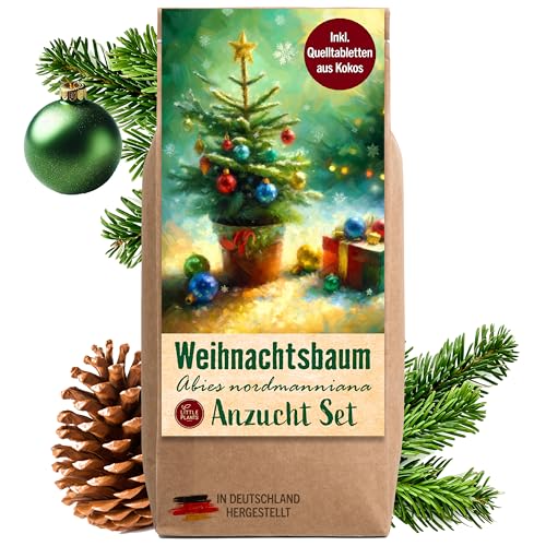 Little Plants Weihnachtsbaum Anzuchtset - Weihnachtsbaum, Adventskalender Füllung, Wichtelgeschenk, Weihnachtsbaum in der Dose, Adventskalender befüllen Inhalt, Tannenbaum Geschenk Set (Variante 5) von Little Plants