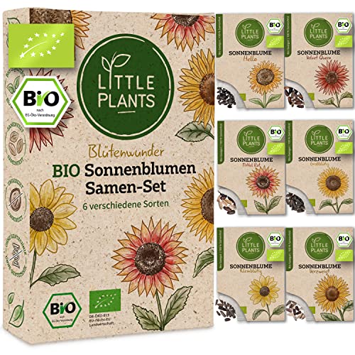 Little Plants Sonnenblumen Samen Set - 6 Sorten BIO Sonnenblume Samen - 100% natürlich & extra viele Blumensamen - BIO Saatgut Sonnenblumen zum Anbauen im Garten - Blumensamen Garten Zubehör von Little Plants