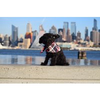 Der Flanell Snap On Dog Bandana Schal in Uptown Navy Kariertes von LittleBearDogApparel