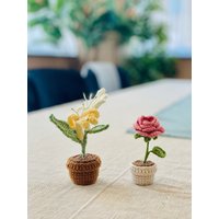 Gehäkelte Juni-Geburtsblumen-Set - Rose Und Geißblatt Im Topf Handgemachtes Geburtstagsgeschenk, Gehäkelte Blumenverzierung von LittleCrochetBoxx