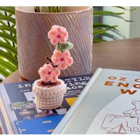 Handgefertigte Häkelblumen - Süße Und Bunte Pflanze, Schöne Geschenkbox Inklusive, Perfektes Geschenk Für Pflanzenliebhaber von LittleCrochetBoxx