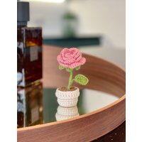 Handgemachte Häkeln Mini Pink Rose Häkelpflanze Im Weißen Topf - Entzückende Schreibtischdekor Oder Geschenkidee Valentinsgrüße von LittleCrochetBoxx