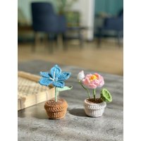 Juli Geburtstagsgeschenk, Juli's Birth Flower Häkelkollektion Gehäkelte Seerose, Rittersporn Oder Beides Geschenk Set Mit Nachricht Option von LittleCrochetBoxx