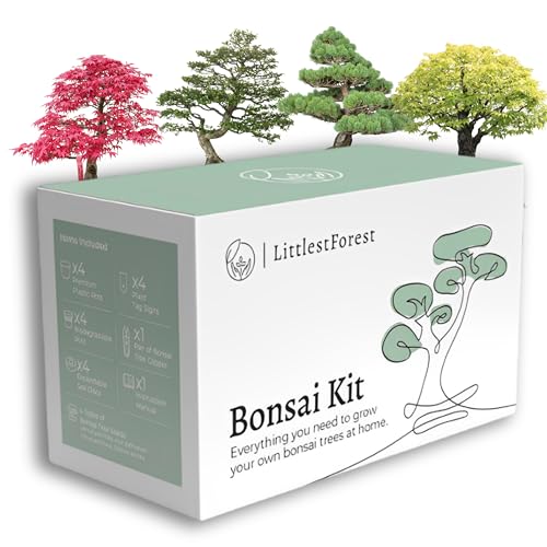 LittlestForest – Grow tree Bonsai starter kit complet set Anzuchtset – Alles, was Sie brauchen, um Ihre eigenen natürlichen Bonsai Baum – Bonsai Samen und Werkzeuge von LittlestForest