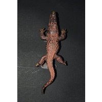 Messing Echse Form Türgriff | 30 cm Krokodil Figur Schrank Schubladenzug von LittletalesCreations