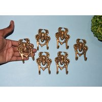 Spinnenform Messing Hängend | Doppelwandhaken Im Arachnid-stil Set Von 06 Haken Spinnenform Messing Hängend | Doppelwandhaken Im Arachnid-stil Set Von 06 Haken von LittletalesCreations
