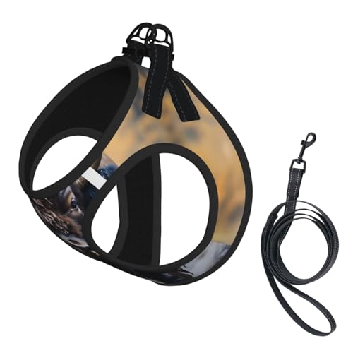 Hundegeschirr und Leine, weiches Haustiergeschirr und Leine, verstellbar, Netzgewebe, Welpengeschirr für kleine, mittelgroße und große Hunde und Katzen von LiuMng