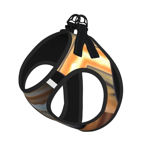 Jupiter Hundegeschirr und Leine, weiches Haustiergeschirr und Leine, verstellbares Netzgewebe, Welpengeschirr für kleine, große Hunde und Katzen von LiuMng