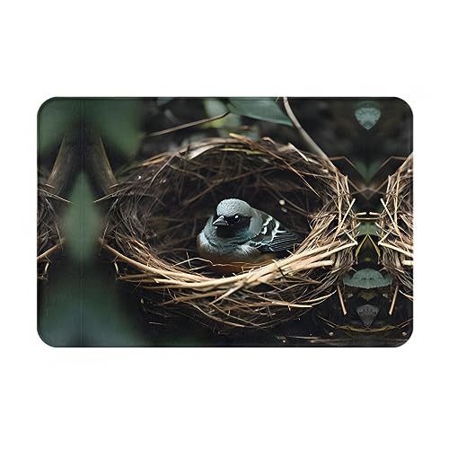 Little Bird Nest Winter-Fußmatte, 40,6 x 61 cm, wasserabsorbierende, rutschfeste Fußmatten für Vorder- und Hintertür/Willkommensmatte Little Bird Nest Winter-Fußmatte, 40,6 x 61 cm, wasserabsorbierende, rutschfeste Fußmatten für Vorder- und Hintertür/Willkommensmatte von LiuMng