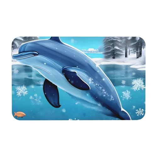 LiuMng Badematte mit Winter-Delfin-Druck, Kieselgur-Motiv, saugfähige Duschmatte, Badezimmerläufer, Teppich, Bodenmatte, passt unter die Tür von LiuMng